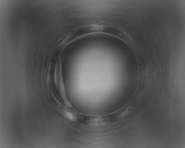 X0000053000325200507081240
