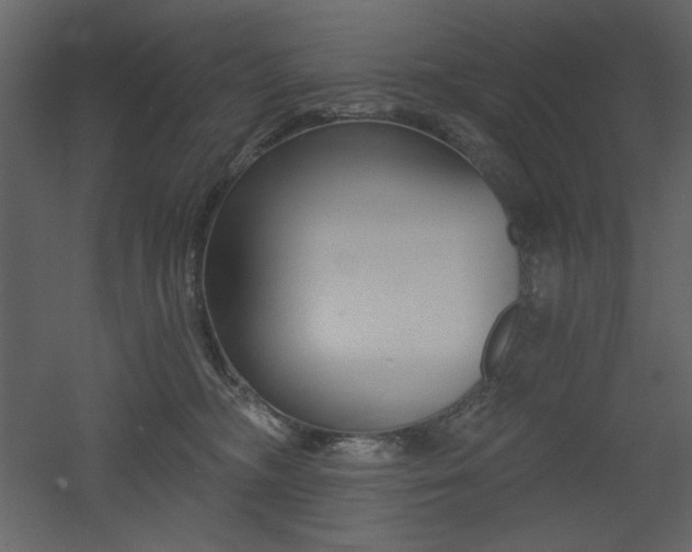 X0000053000326200507081240