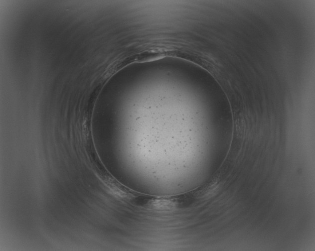X0000053000327200507081240