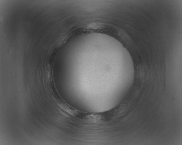 X0000053000328200507081240