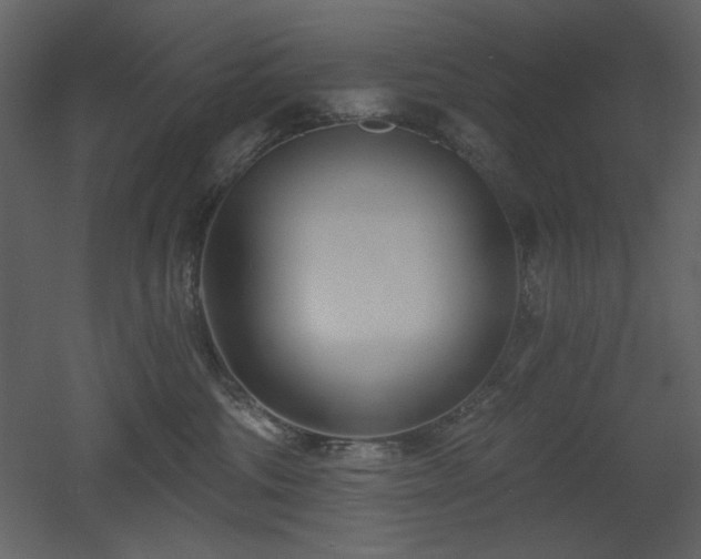 X0000053000330200507081240