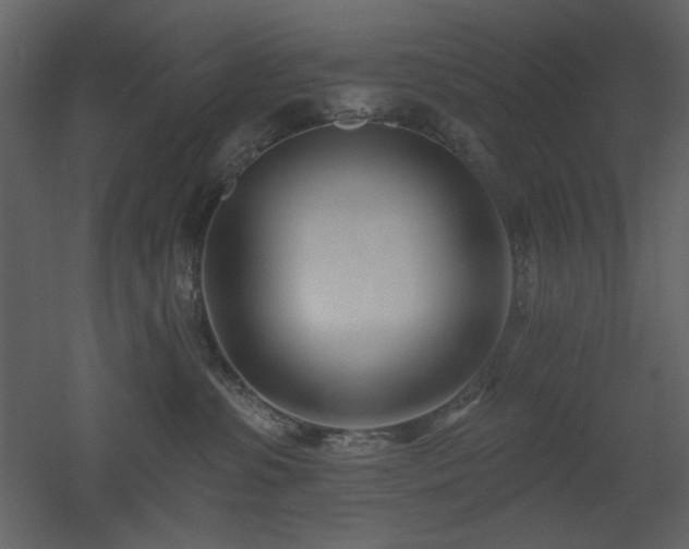 X0000053000331200507081240