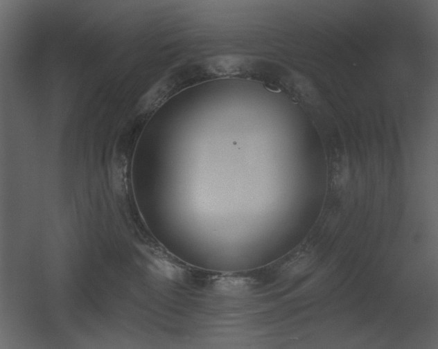X0000053000332200507081240