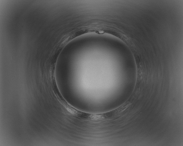 X0000053000333200507081240