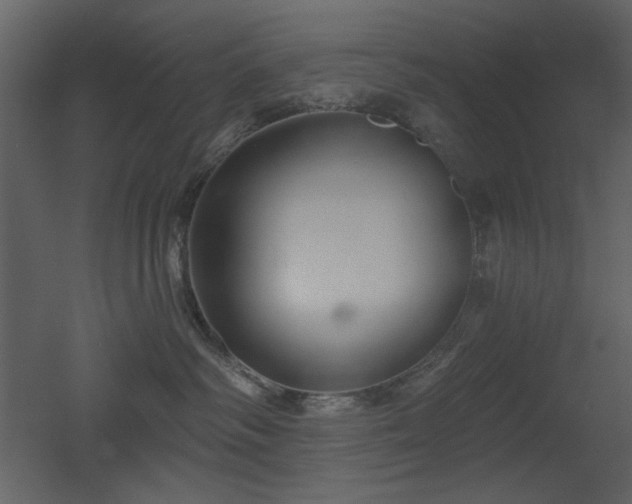 X0000053000334200507081240