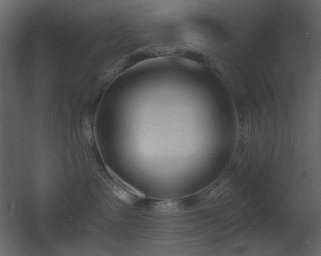 X0000053000335200507081240