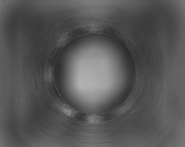 X0000053000336200507081240