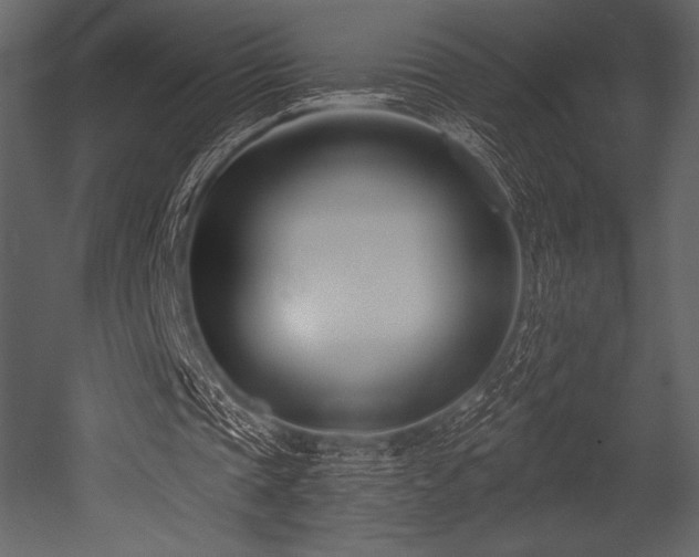 X0000053000337200507081239