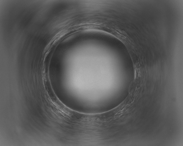 X0000053000339200507081239