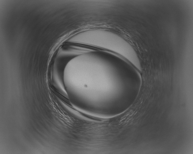 X0000053000340200507081239