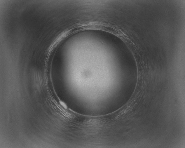 X0000053000341200507081239