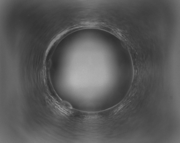 X0000053000342200507081239