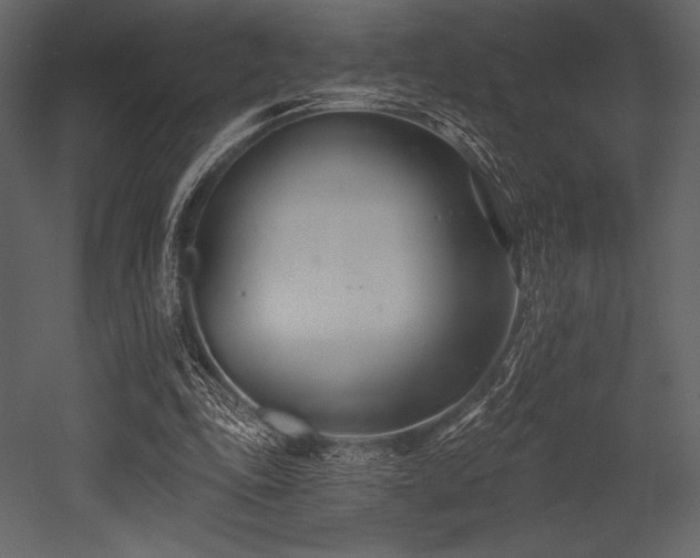 X0000053000343200507081239