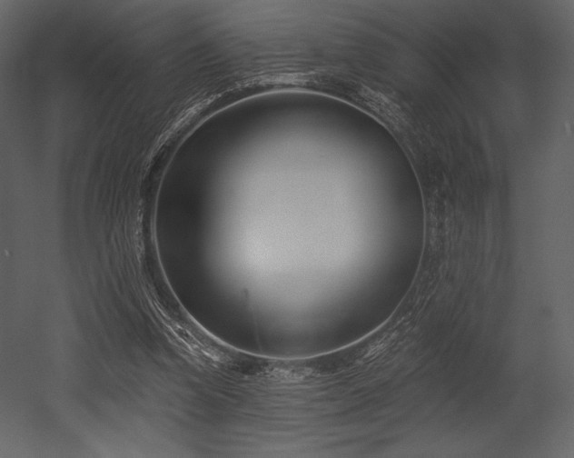 X0000053000346200507081239