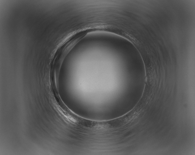 X0000053000350200507081239