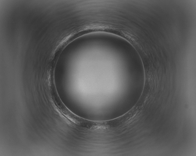X0000053000352200507081239