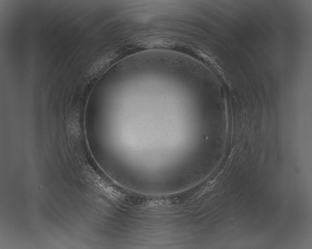 X0000053000353200507081239