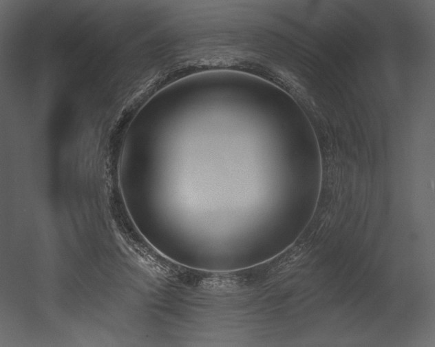 X0000053000354200507081239