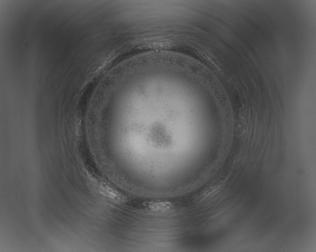 X0000053000355200507081239