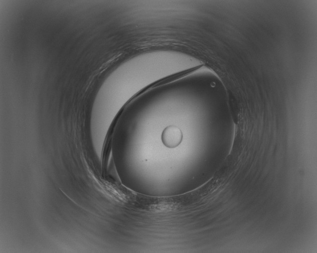 X0000053000356200507081239