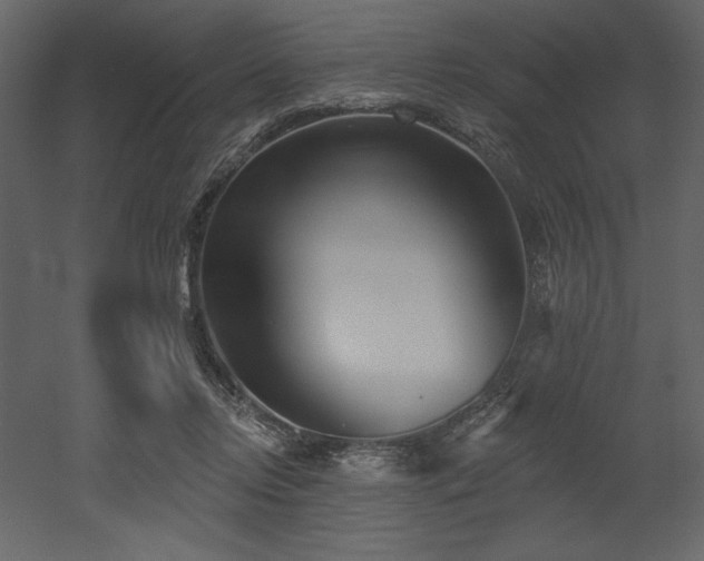 X0000053000358200507081239