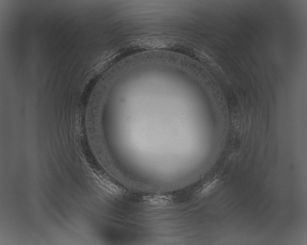 X0000053000359200507081239