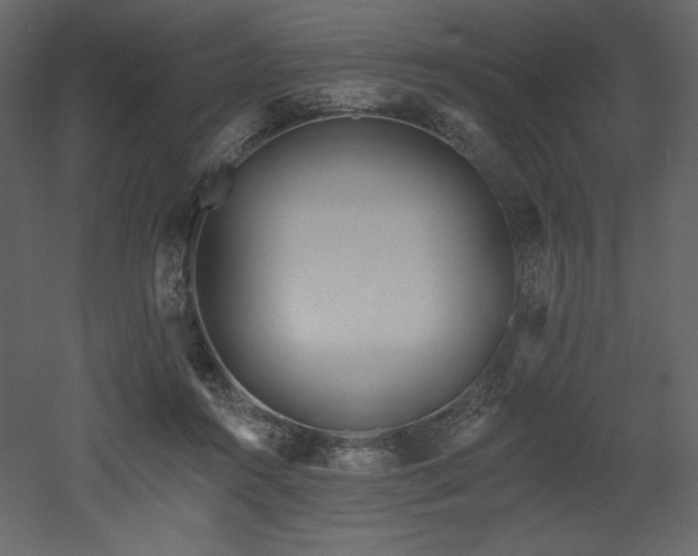 X0000053000360200507081239