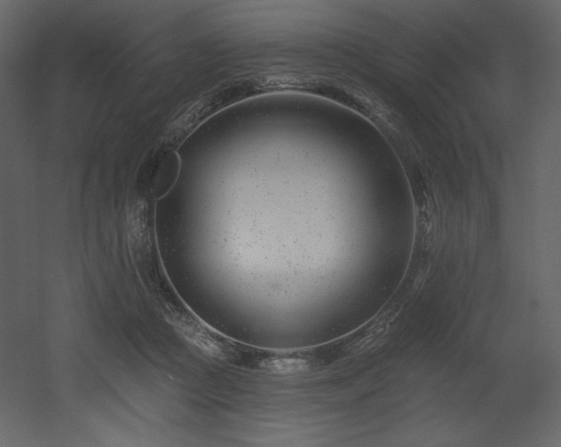 X0000053000361200507081239