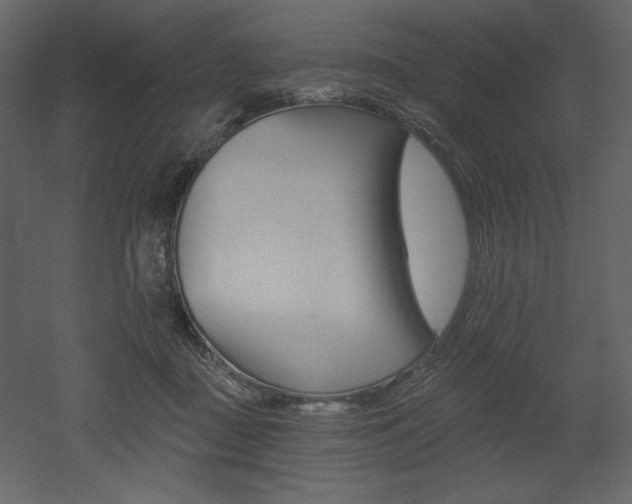 X0000053000363200507081239