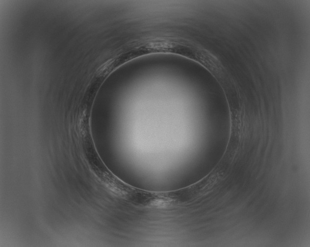 X0000053000364200507081239