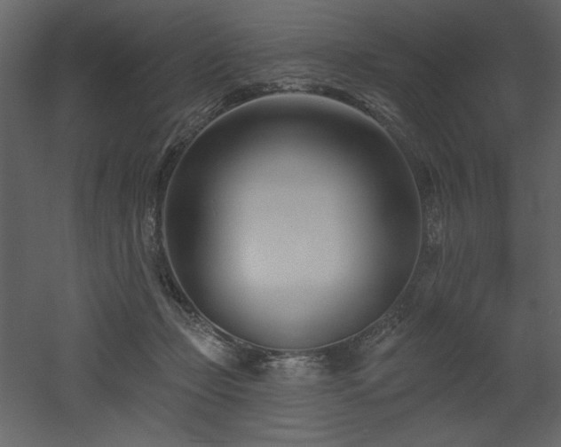 X0000053000365200507081239