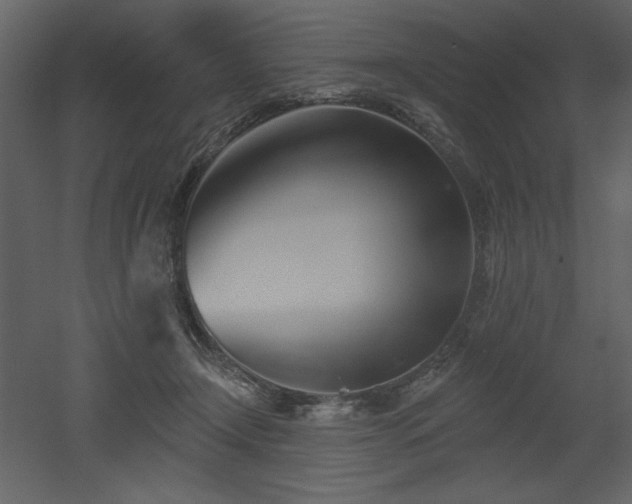 X0000053000366200507081239