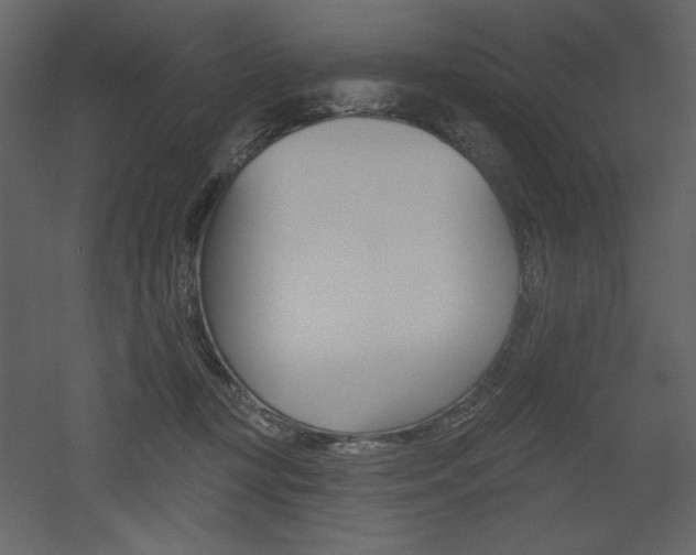 X0000053000367200507081239