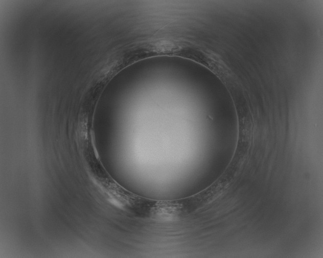 X0000053000368200507081239
