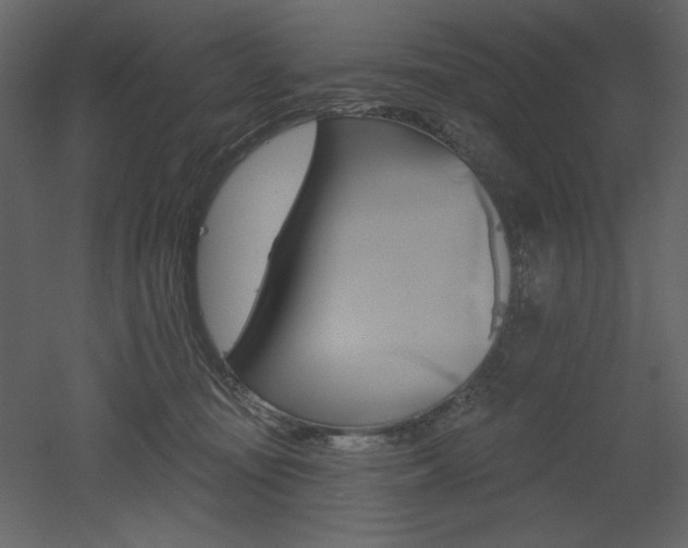X0000053000371200507081239