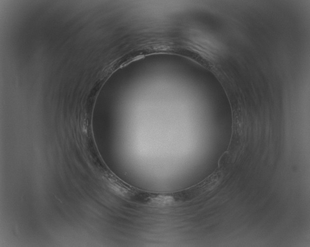 X0000053000374200507081239