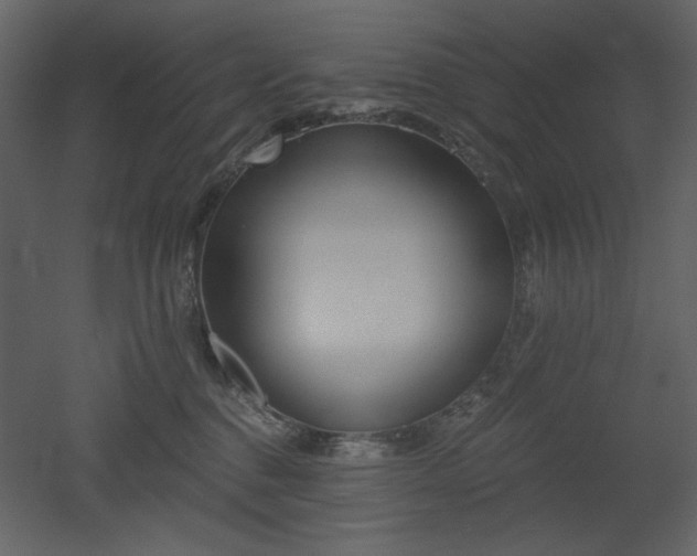 X0000053000376200507081240