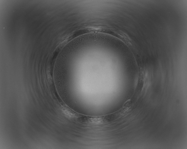 X0000053000377200507081240