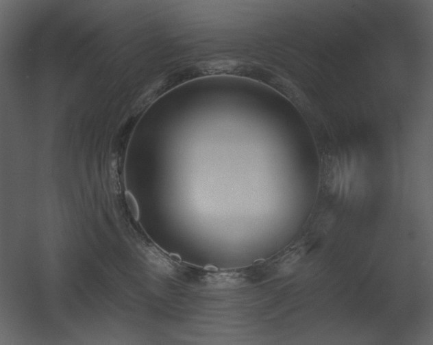 X0000053000378200507081240