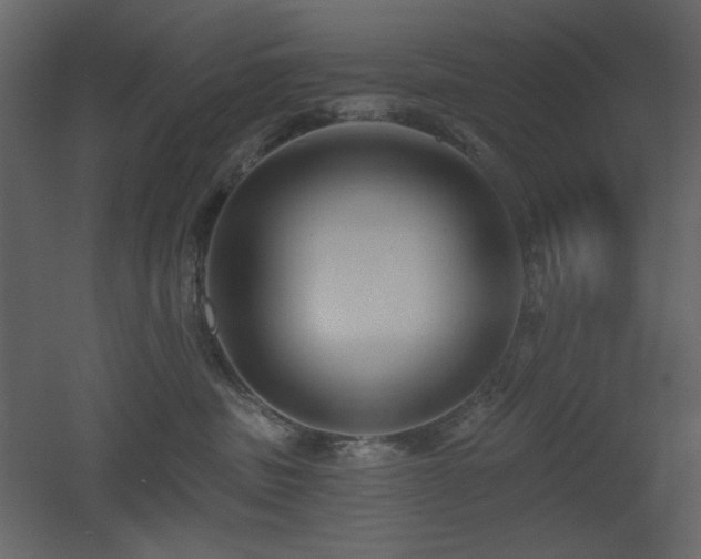X0000053000379200507081240