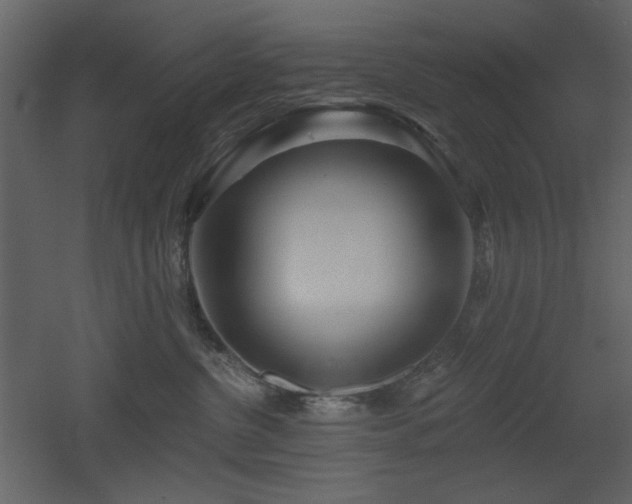 X0000053000380200507081240