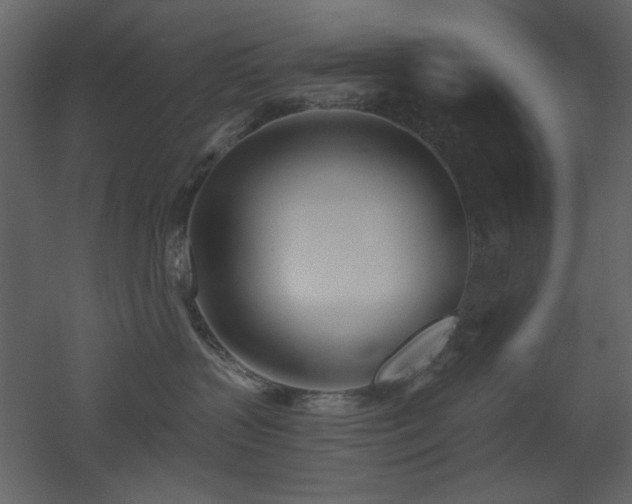 X0000053000383200507081240