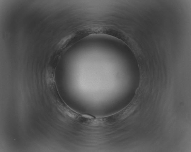 X0000053000384200507081240
