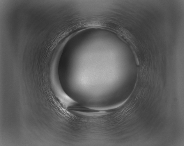 X0000053000385200507081239