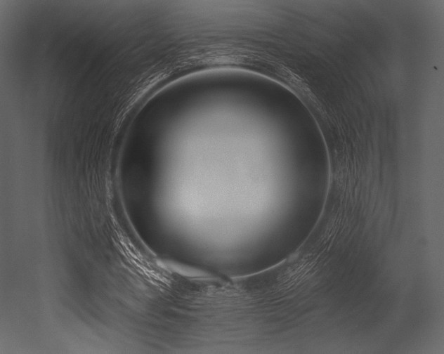 X0000053000386200507081239