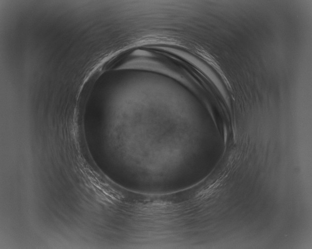 X0000053000387200507081239