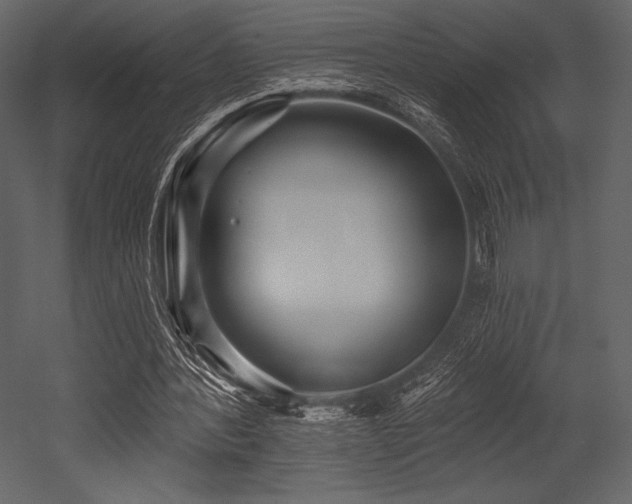 X0000053000388200507081239