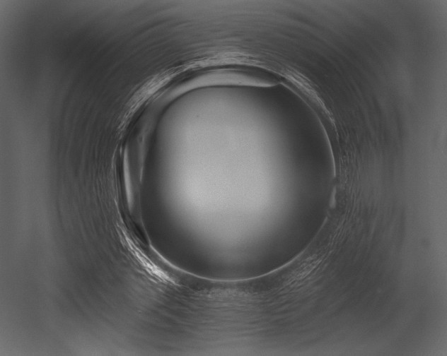 X0000053000389200507081239