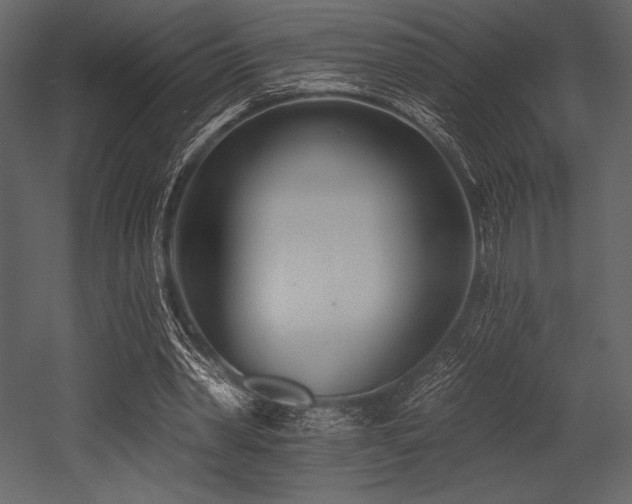 X0000053000390200507081239