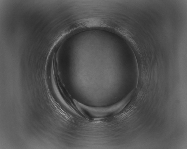 X0000053000391200507081239